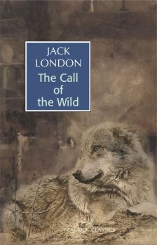 The Call of the Wind (Paperback-2023)